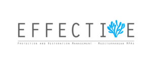 effective